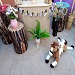 Alquiler decoracion mesa dulce